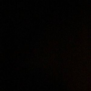 Meet your Posher, Carleon